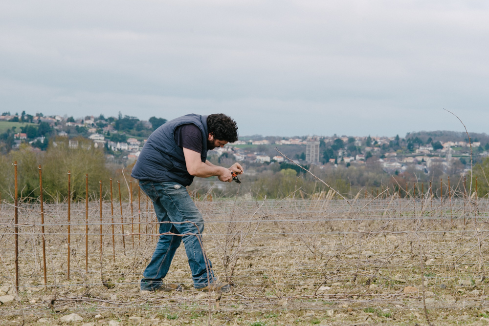 Episode 1 : La taille des vignes avec Emmanuel Merceron